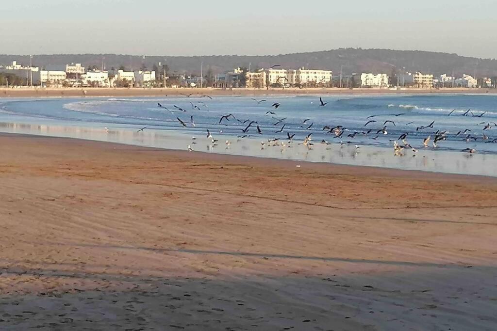 Darsal-Bwindi, Pour Tomber Amoureux D'Essaouira ! Villa Eksteriør bilde